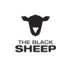 BlackSheep_Mesa de trabajo 1